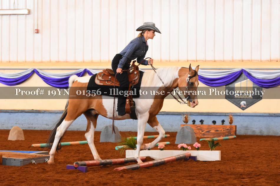 Proof 19YN_01356