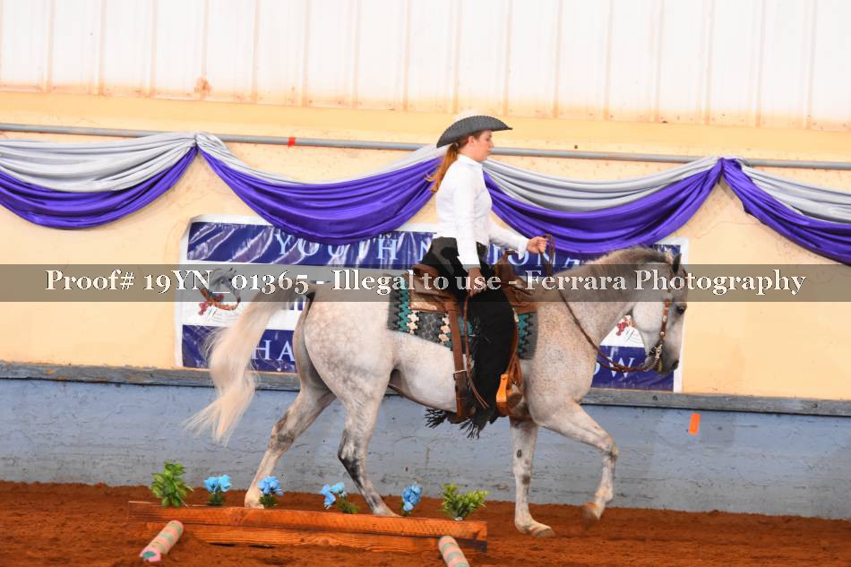 Proof 19YN_01365