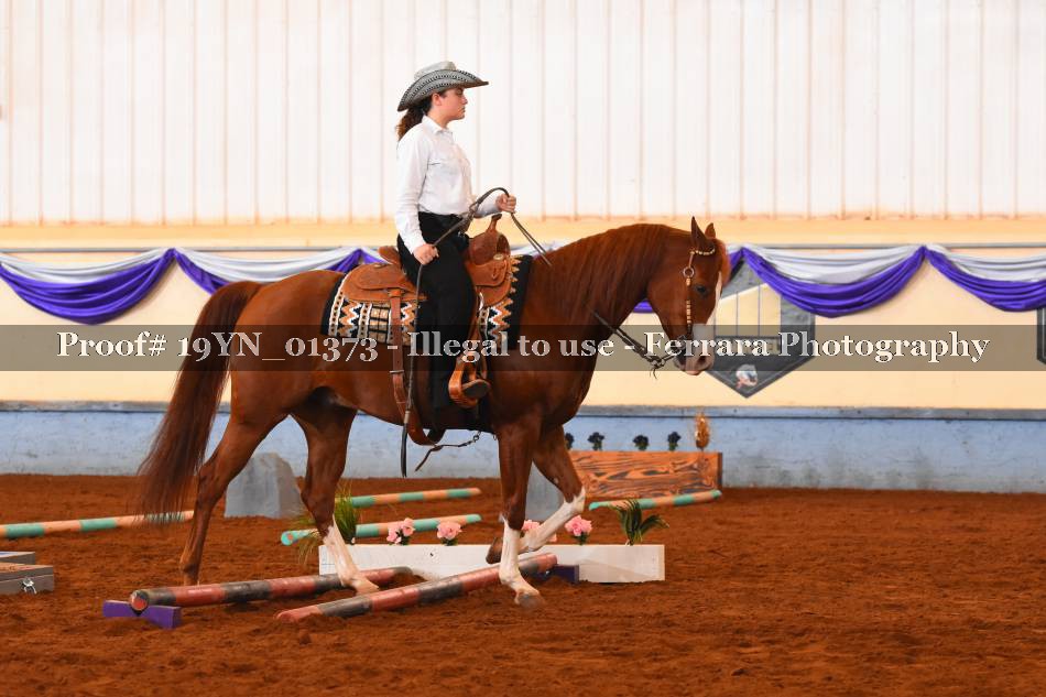 Proof 19YN_01373