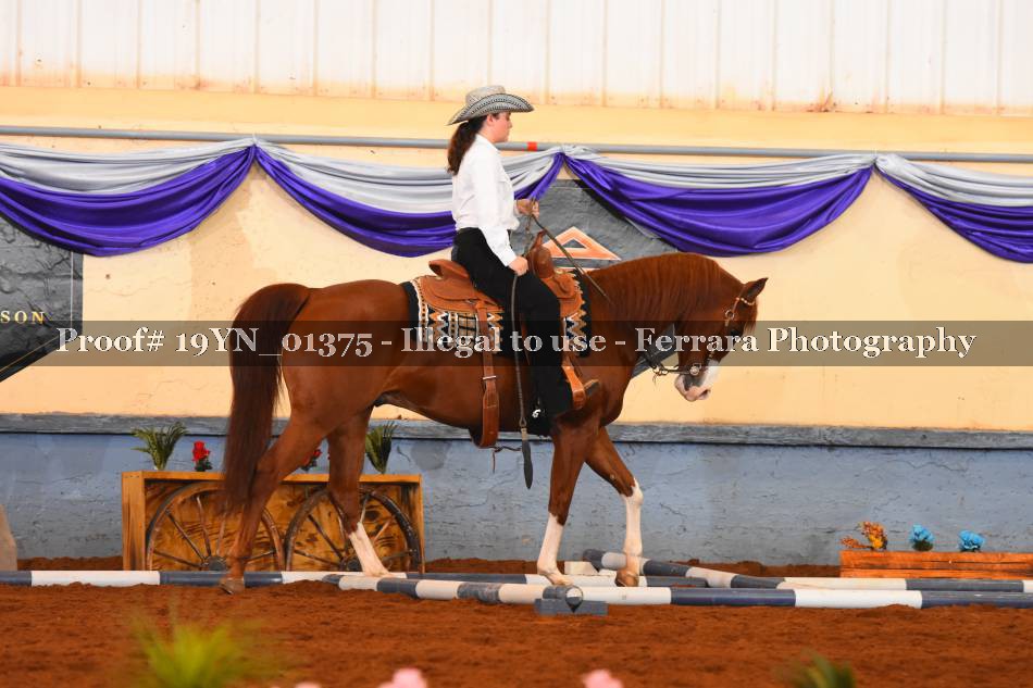 Proof 19YN_01375