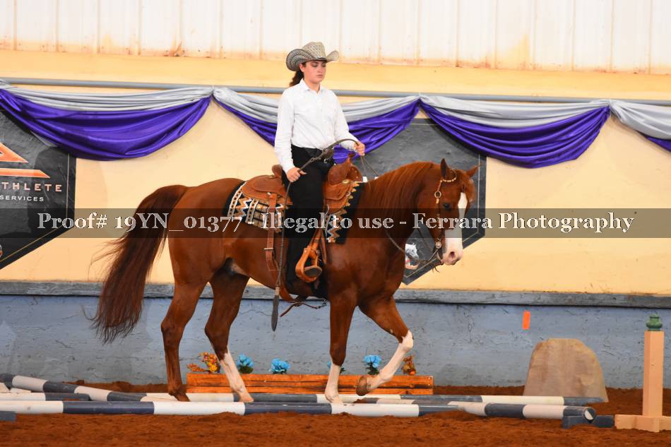 Proof 19YN_01377