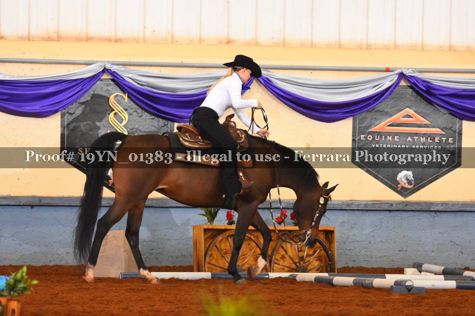 Proof 19YN_01383