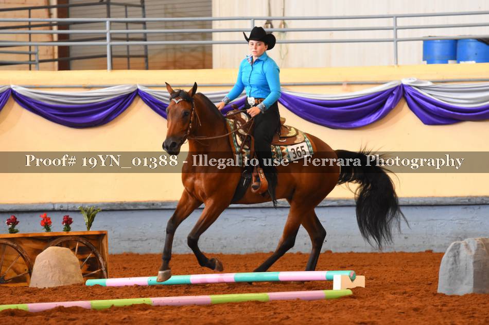 Proof 19YN_01388