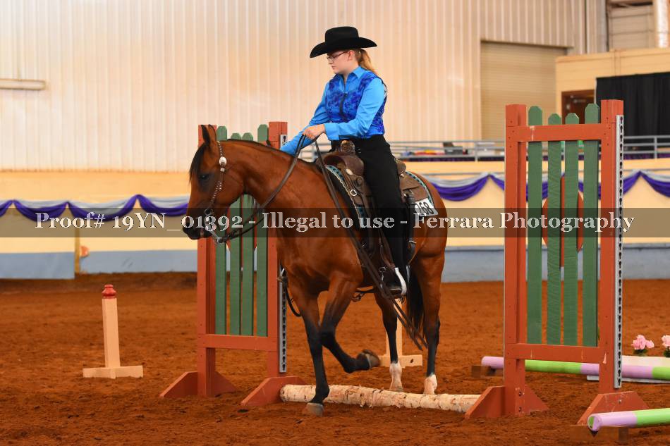 Proof 19YN_01392