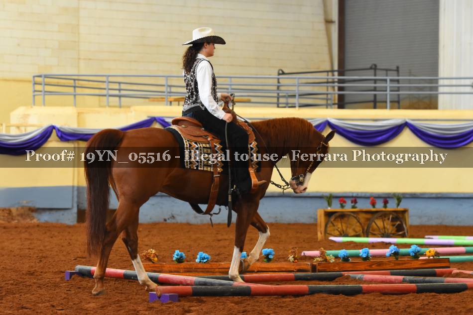 Proof 19YN_05516