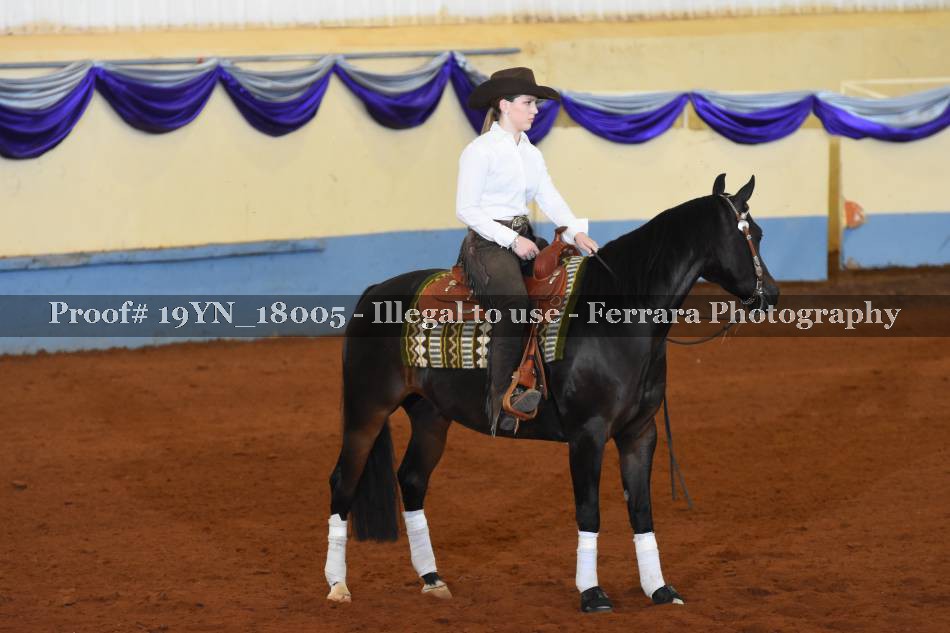 Proof 19YN_18005