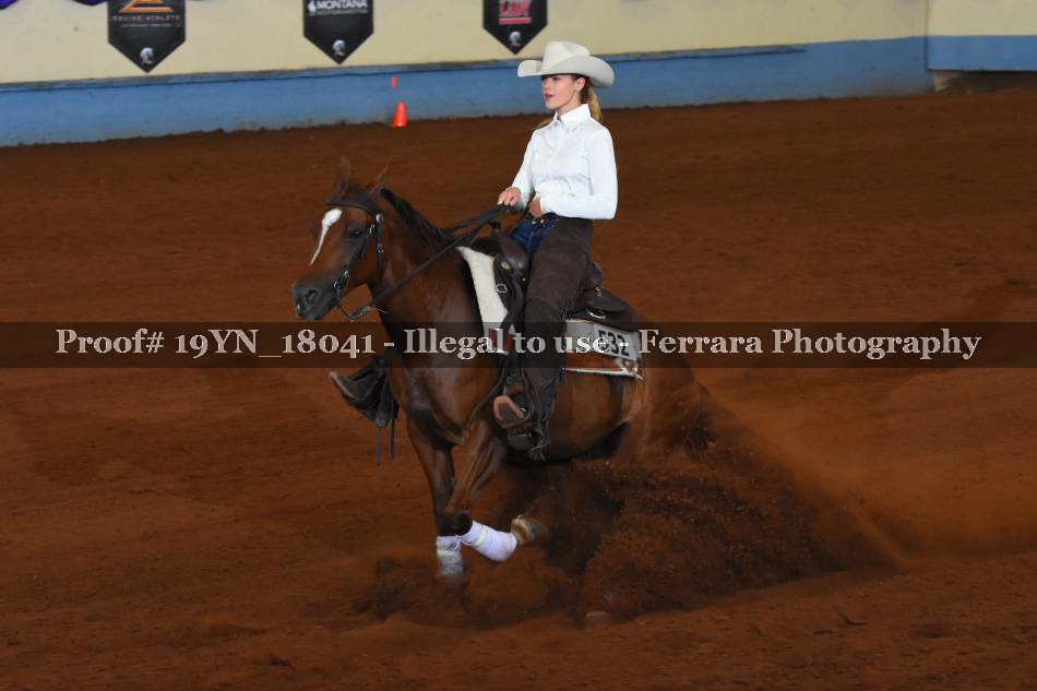 Proof 19YN_18041