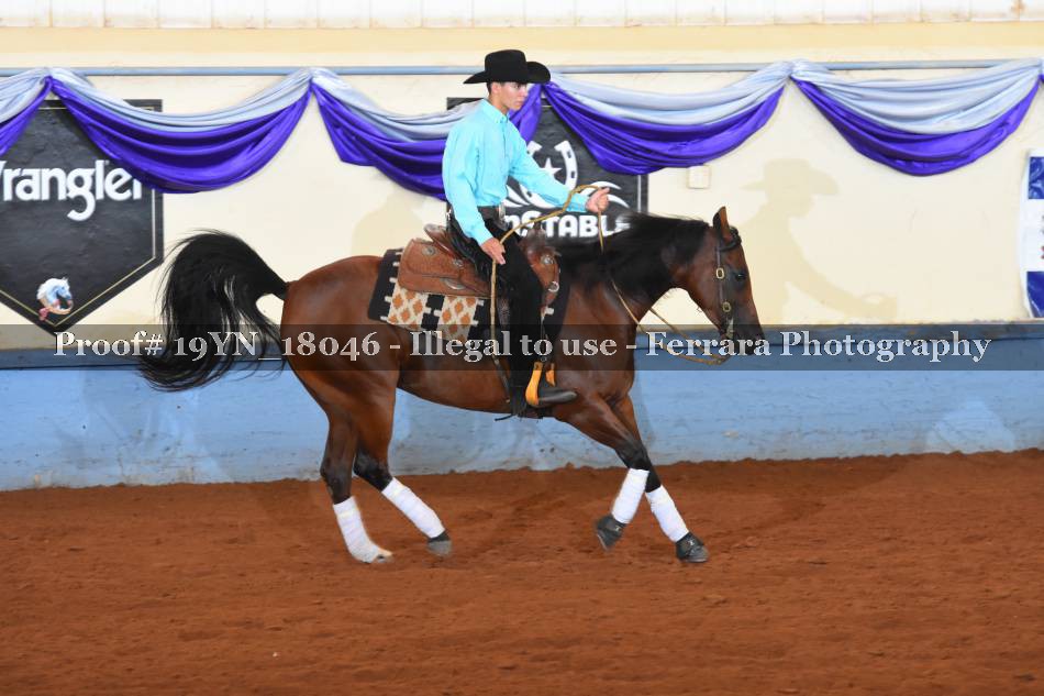Proof 19YN_18046