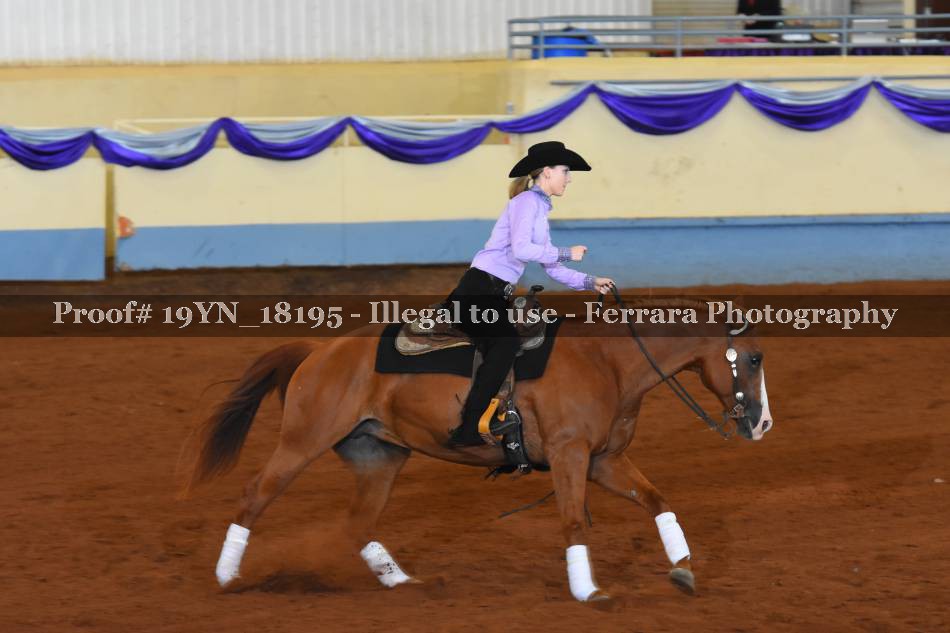 Proof 19YN_18195