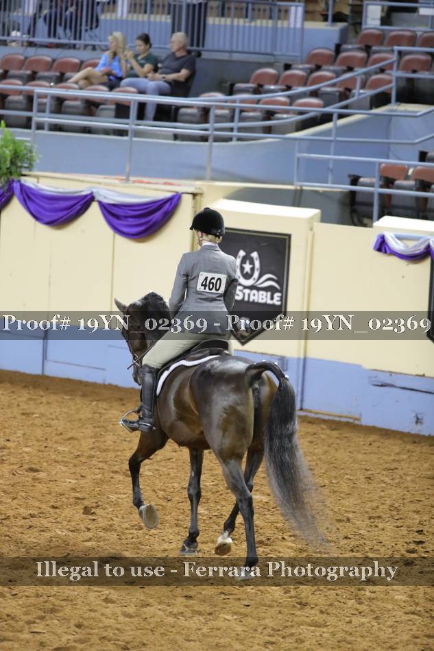 Proof 19YN_02369