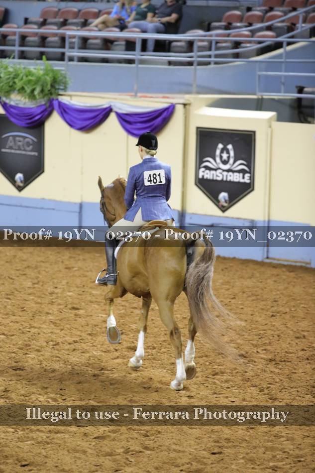 Proof 19YN_02370