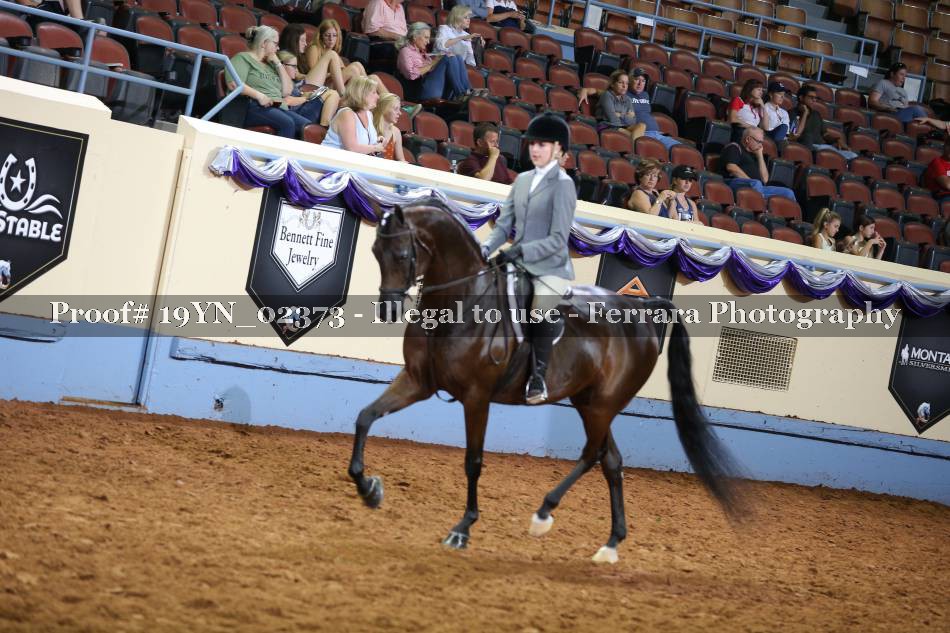 Proof 19YN_02373