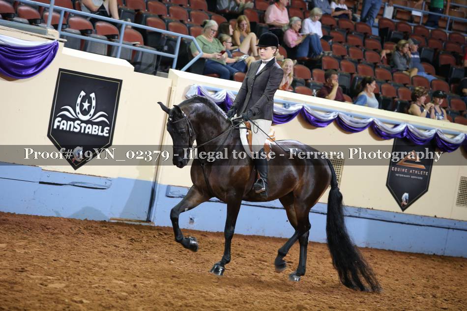 Proof 19YN_02379