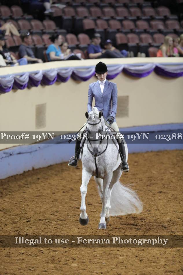 Proof 19YN_02388