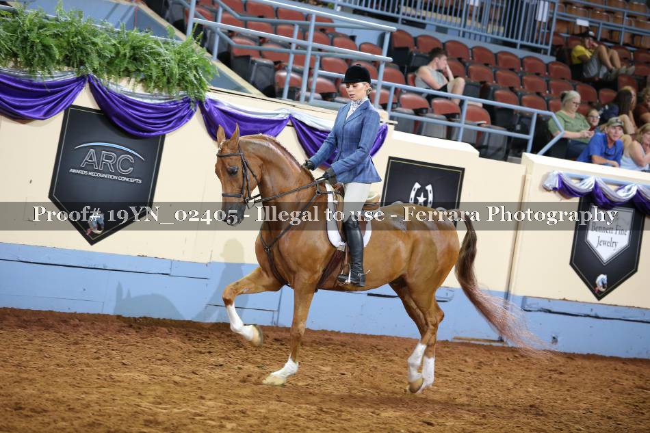 Proof 19YN_02405