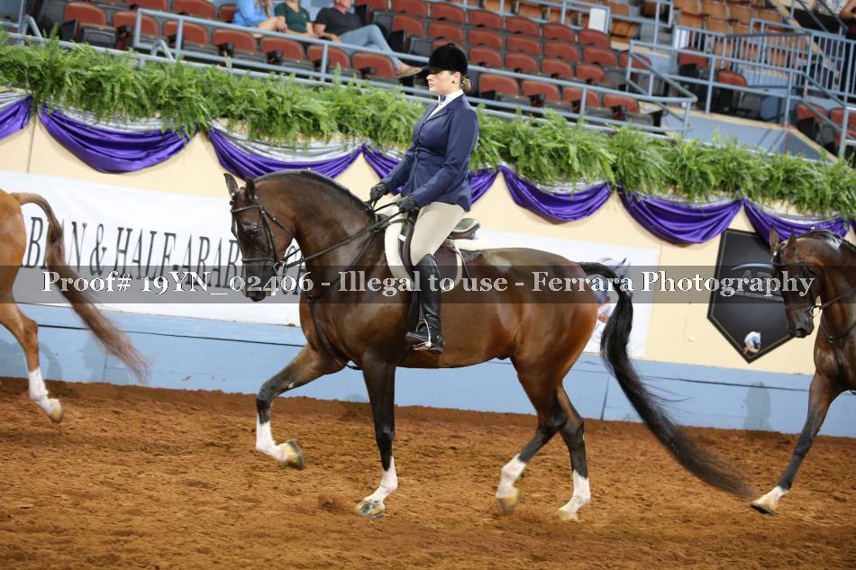 Proof 19YN_02406