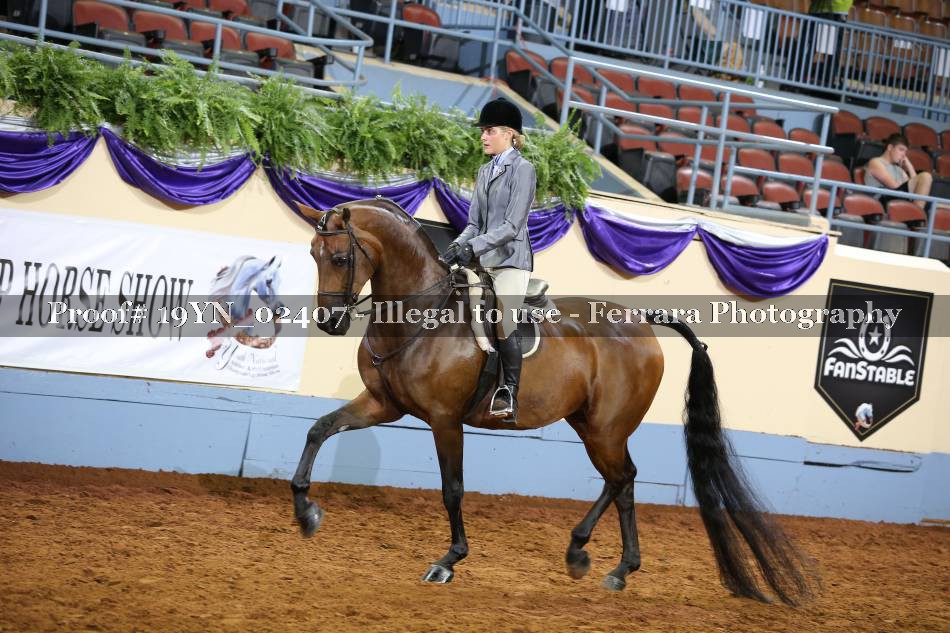 Proof 19YN_02407