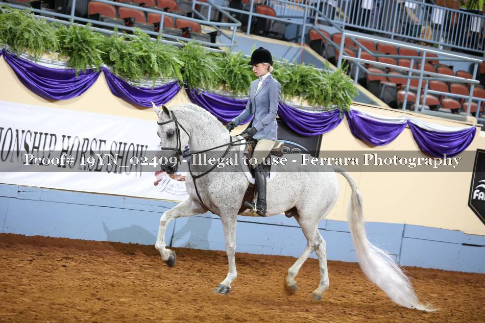 Proof 19YN_02409