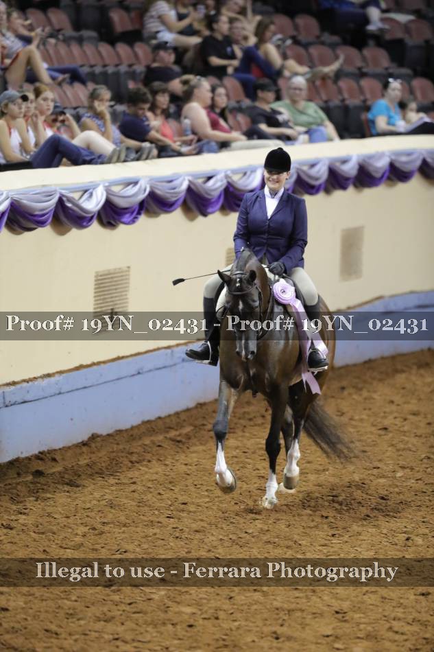 Proof 19YN_02431