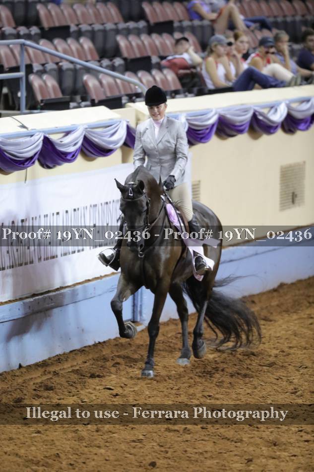 Proof 19YN_02436