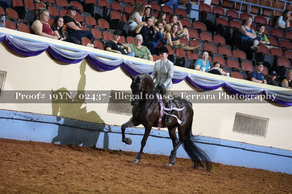 Proof 19YN_02437
