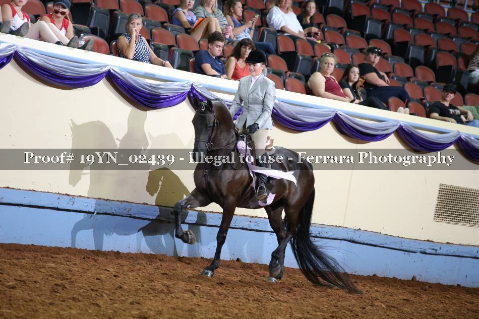 Proof 19YN_02439