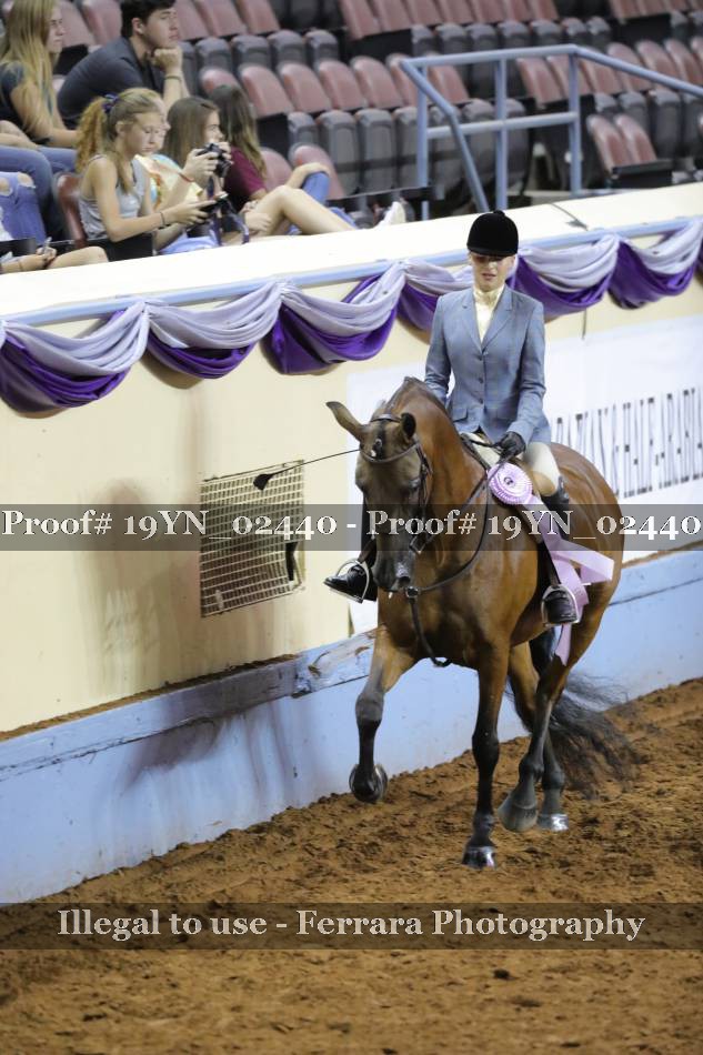 Proof 19YN_02440