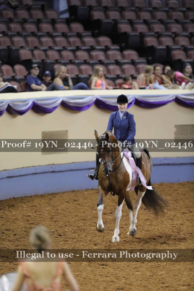 Proof 19YN_02446