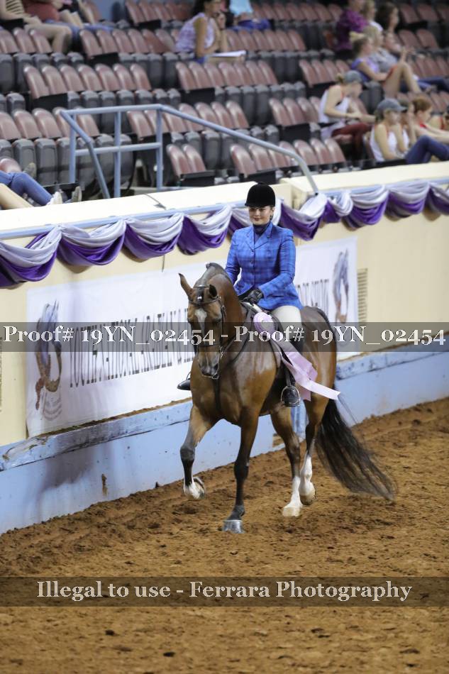 Proof 19YN_02454