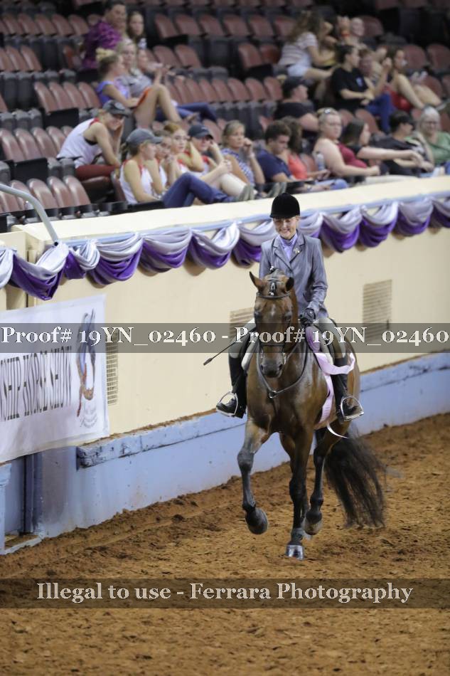 Proof 19YN_02460