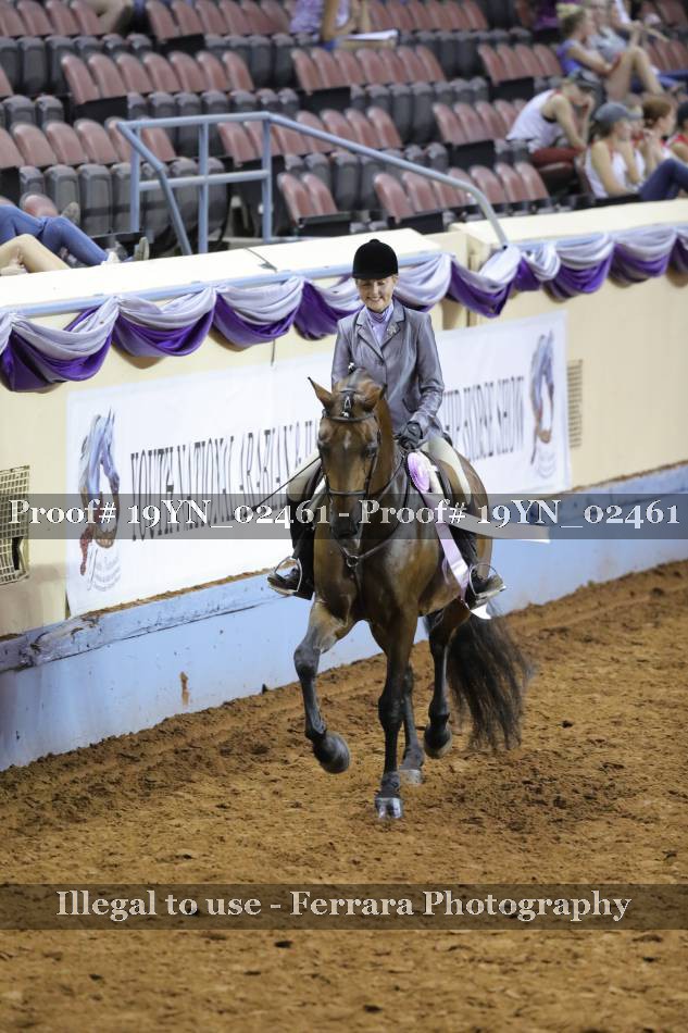 Proof 19YN_02461
