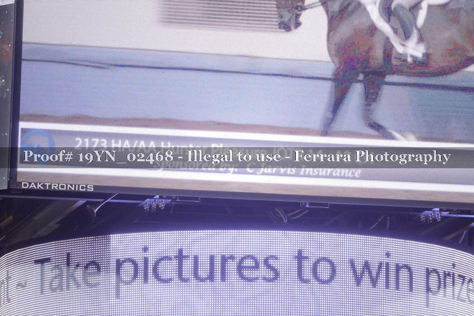 Proof 19YN_02468