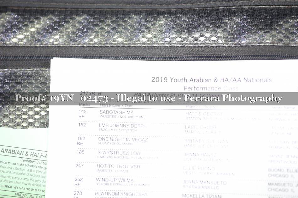 Proof 19YN_02473