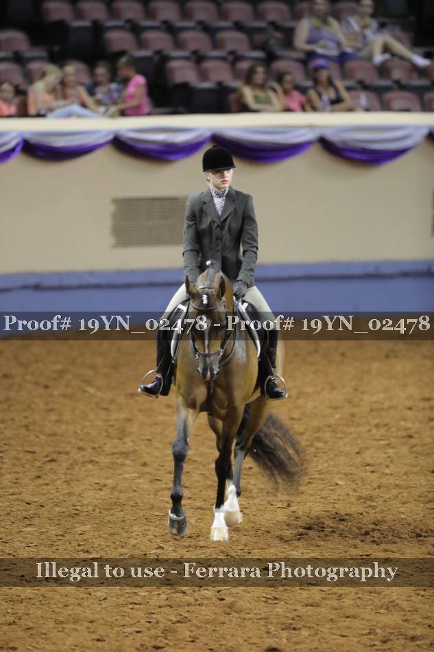 Proof 19YN_02478