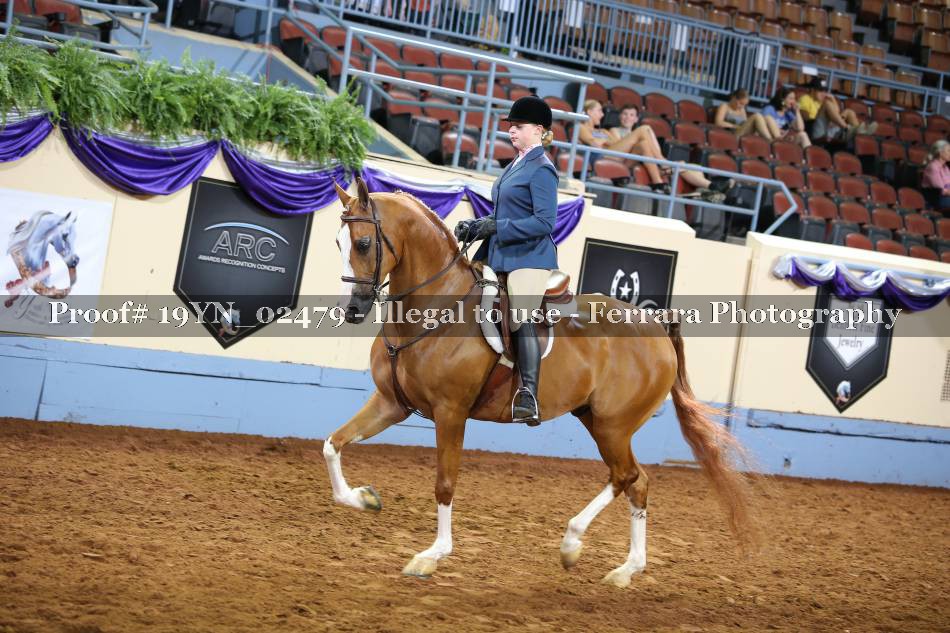 Proof 19YN_02479