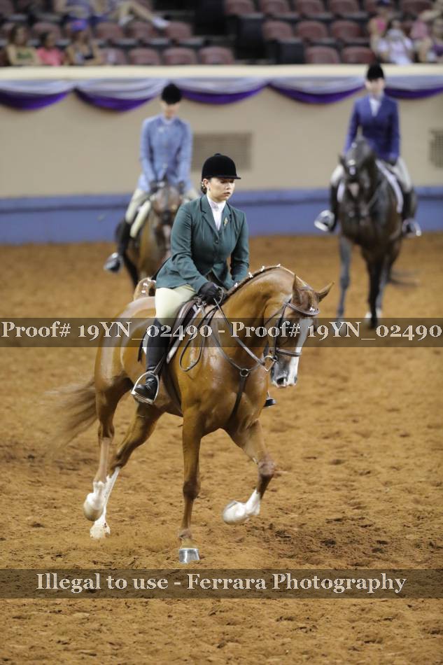 Proof 19YN_02490