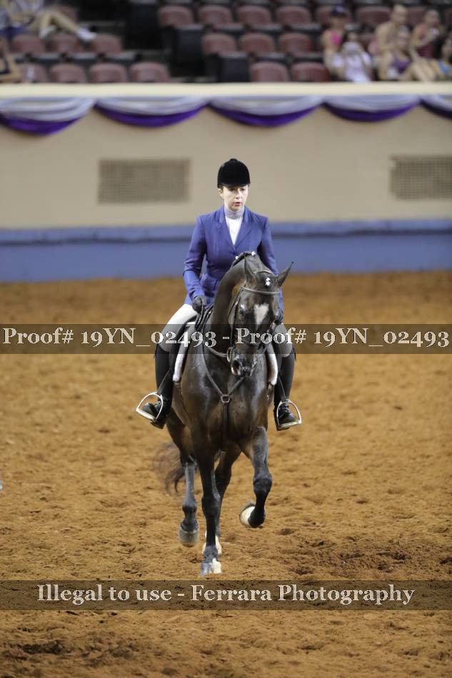 Proof 19YN_02493