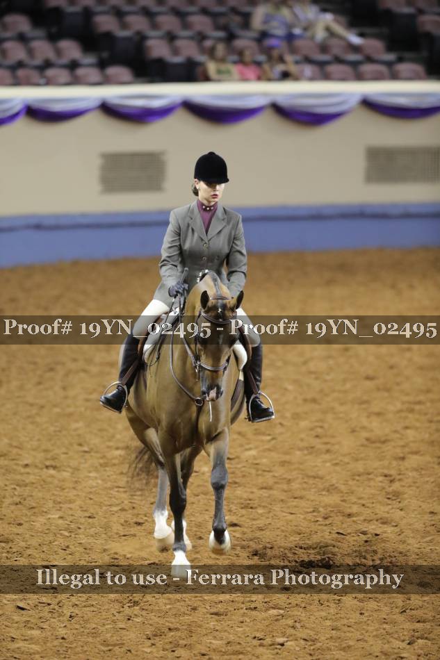 Proof 19YN_02495