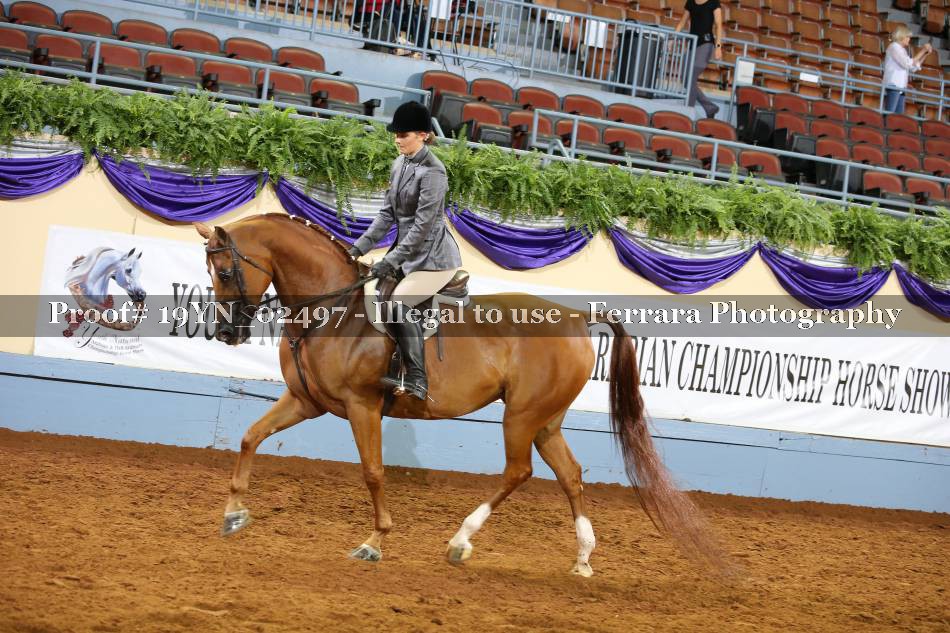 Proof 19YN_02497