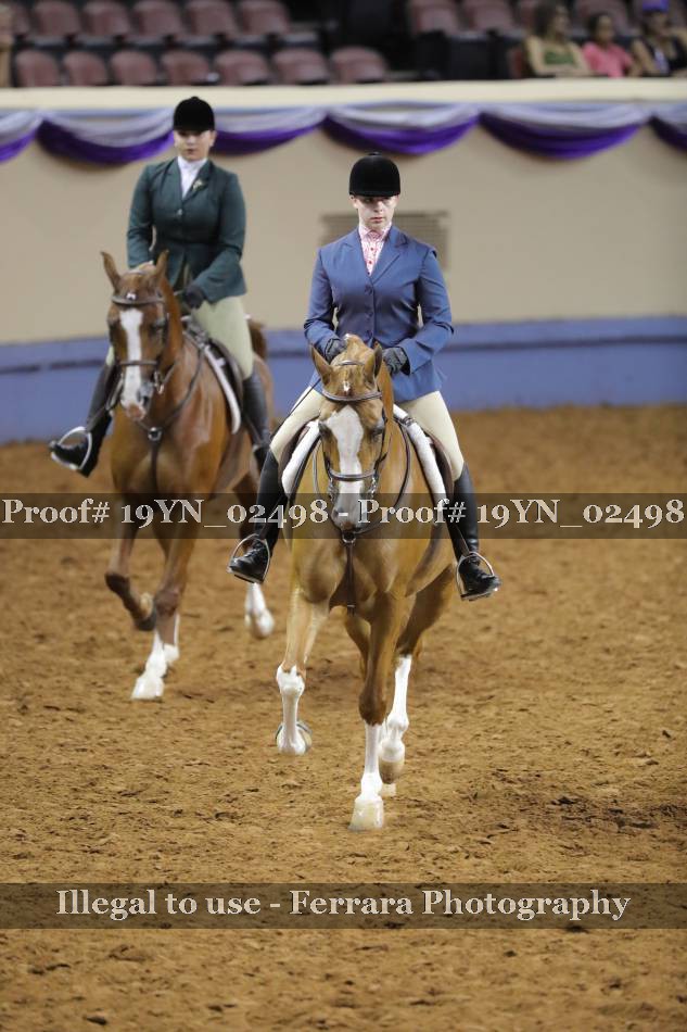 Proof 19YN_02498