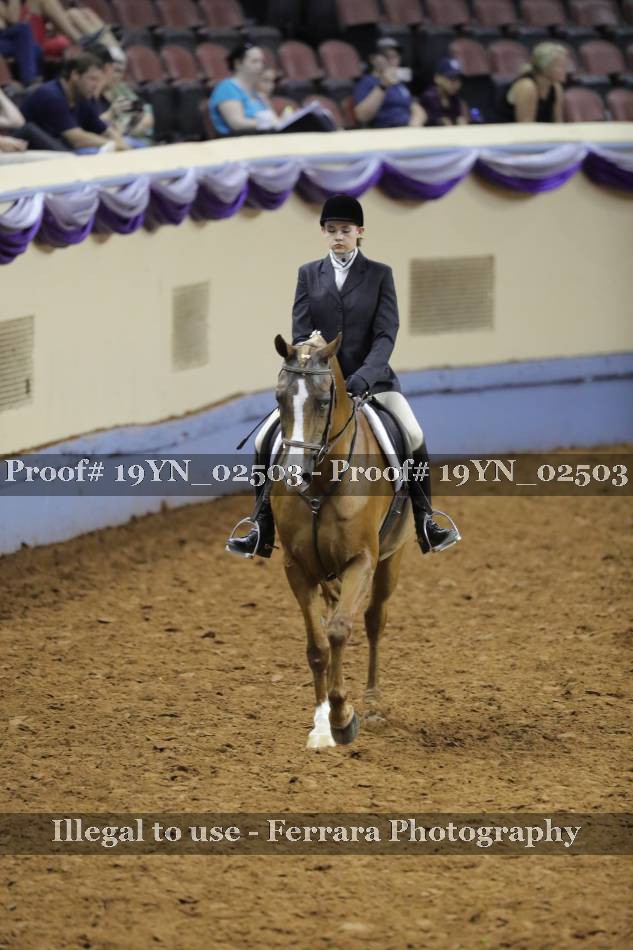 Proof 19YN_02503