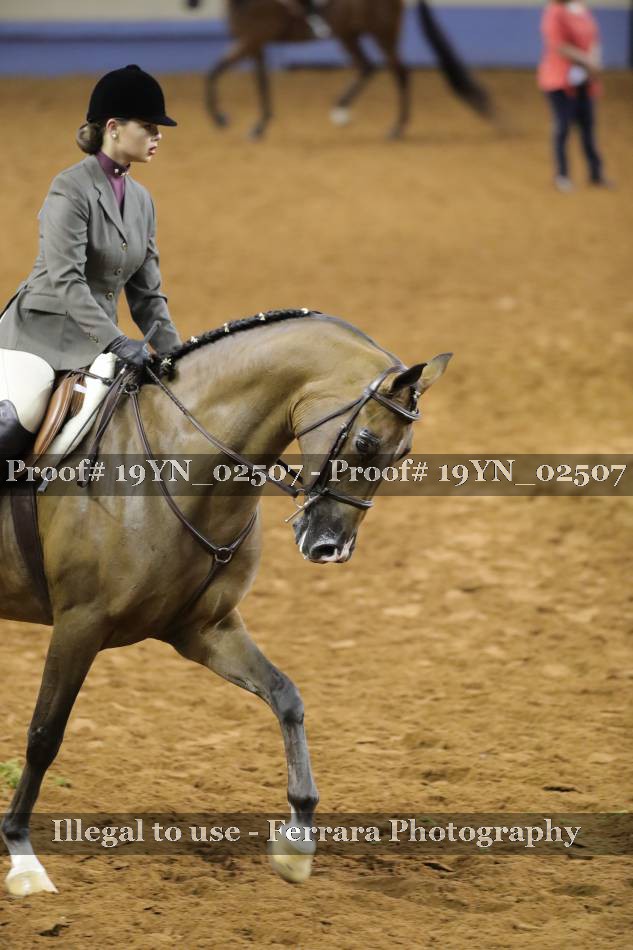 Proof 19YN_02507