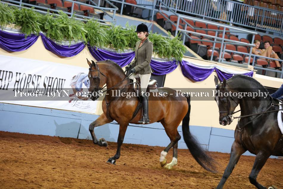 Proof 19YN_02508