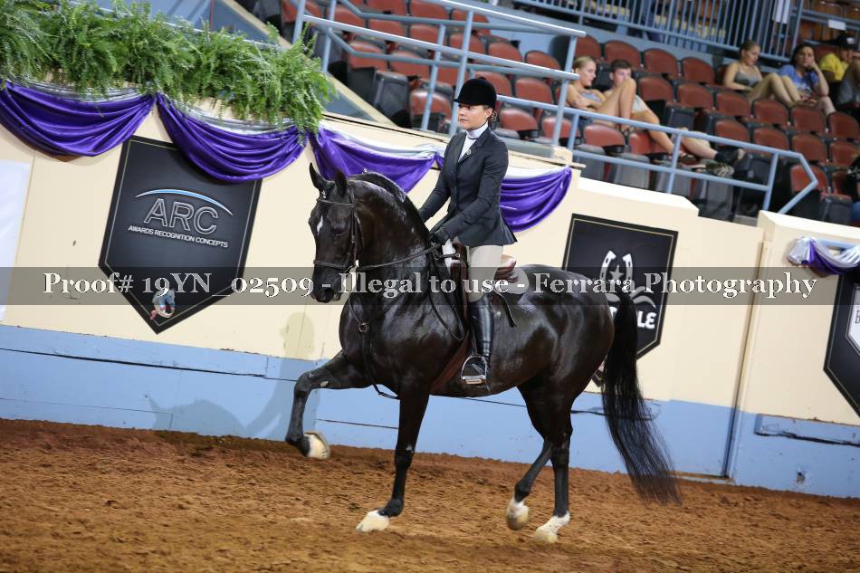 Proof 19YN_02509