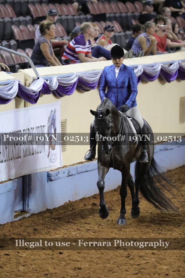 Proof 19YN_02513