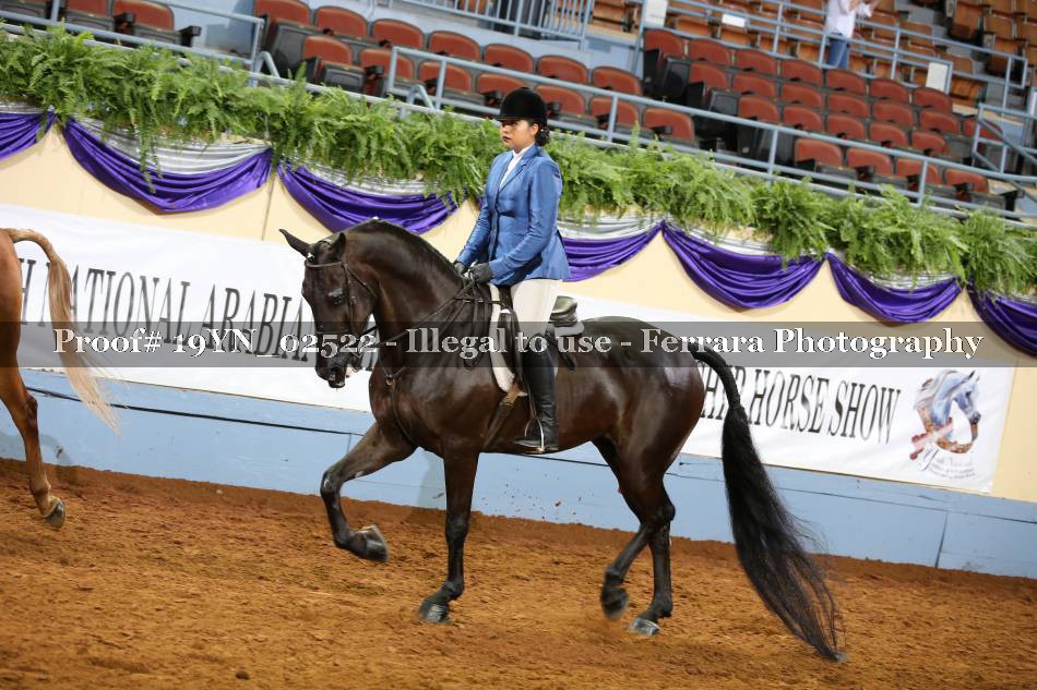 Proof 19YN_02522