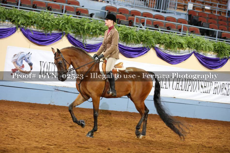 Proof 19YN_02523