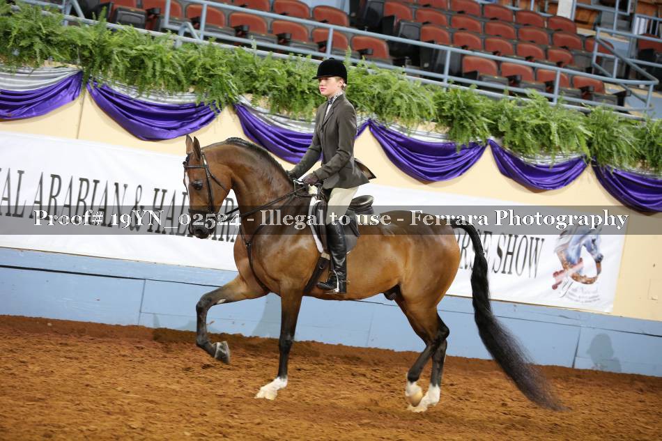 Proof 19YN_02524