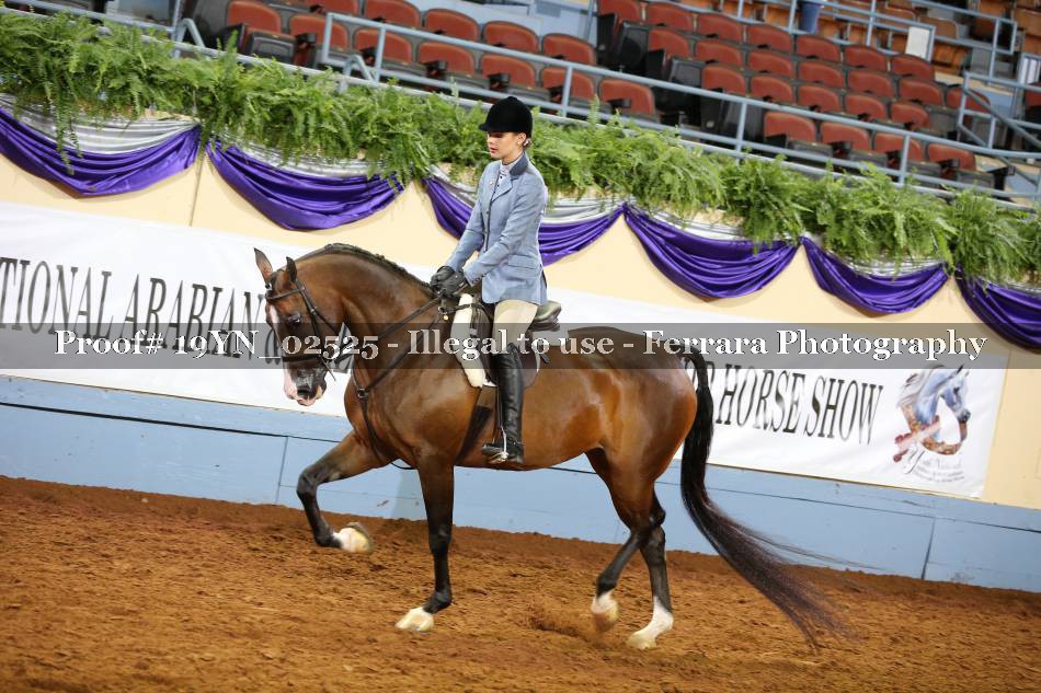 Proof 19YN_02525