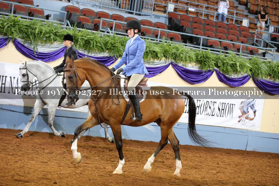 Proof 19YN_02527